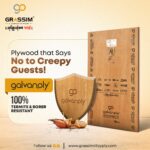 Termite Proof Plywood